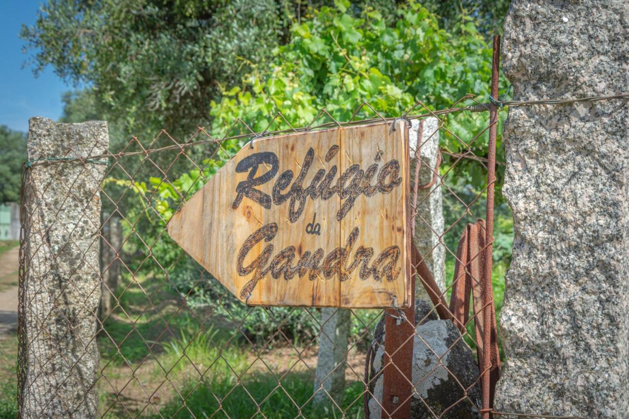 فيلا Refugio Da Gandra فيلا نوفا دي سيرفيرا المظهر الخارجي الصورة